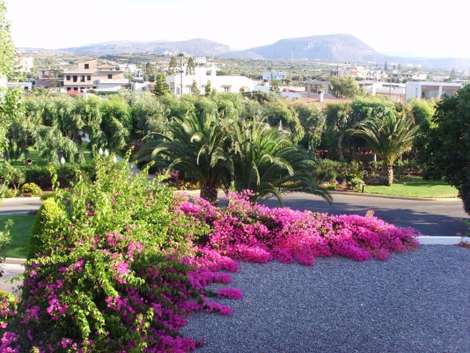Ausblick zur Landseite Anissa Beach & Village