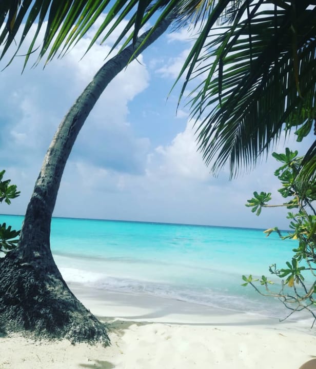 Strand Kuramathi Maldives