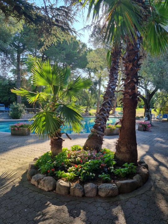 Gartenanlage Hotel Marco Polo