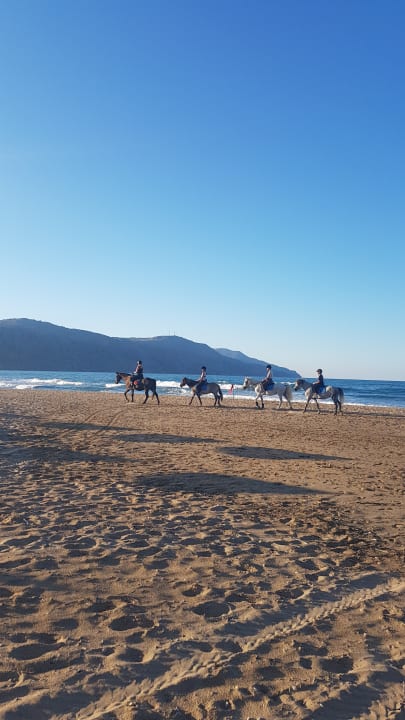 Strand HARPIN Georgioupolis Resort Aquapark & SPA