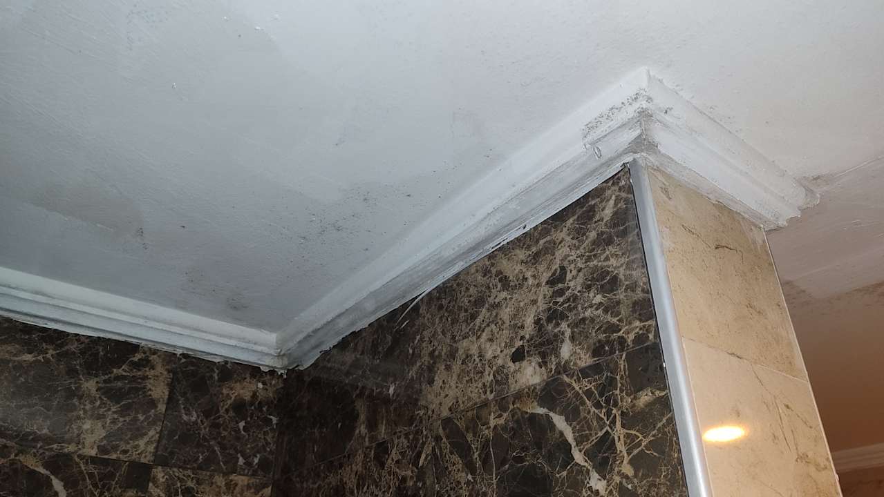 Zimmer Club Side Coast