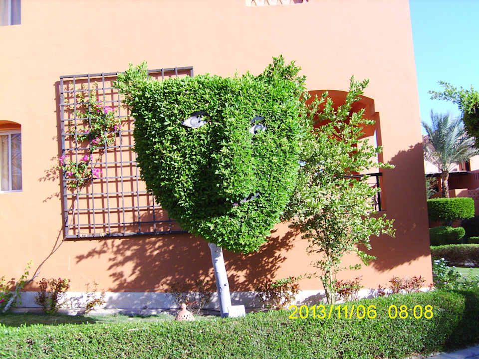 Mit viel liebe gestaltet Jaz Makadi Blue - TUI BLUE Makadi - Adults Friendly 16 Years Plus