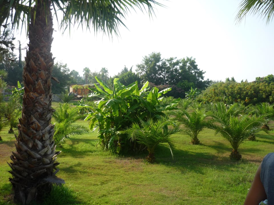 Auf dem Weg zum Strand Club Grand Aqua