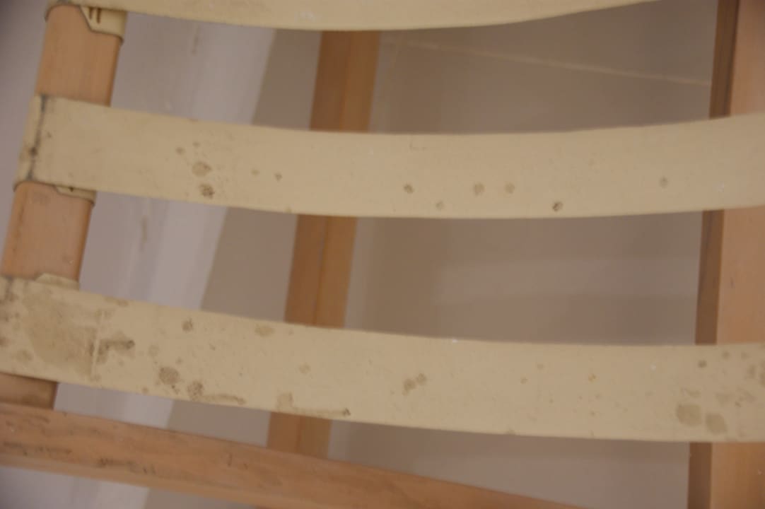 Zimmer Hotel Notos Therme