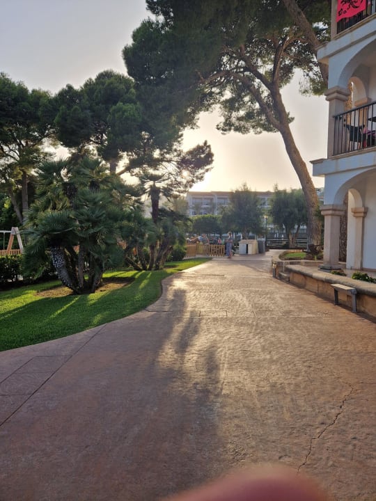 Gartenanlage Hotel Beach Club Font de Sa Cala