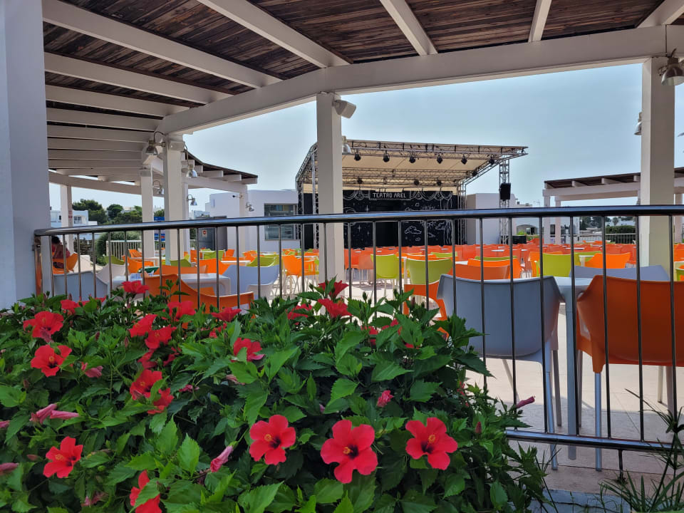 Sport & Freizeit Gavimar Ariel Chico Club & Resort