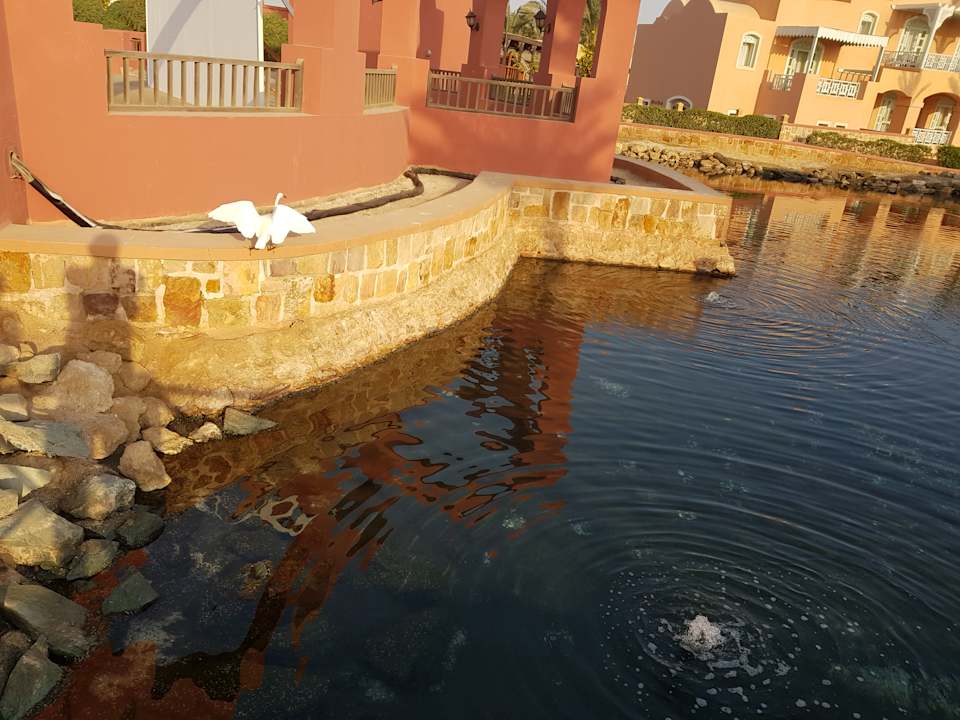 Gartenanlage Radisson Blu Resort, El Quseir