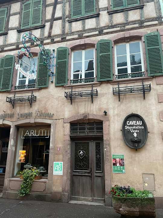 Ausblick L' Hôtel & Spa Ribeauville-Colmar Nord