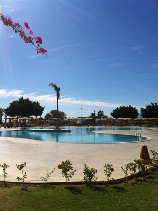 Pool  ROBINSON SOMA BAY