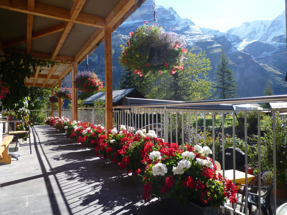 Blumenmeer vor dem Haus Esther's Guesthouse