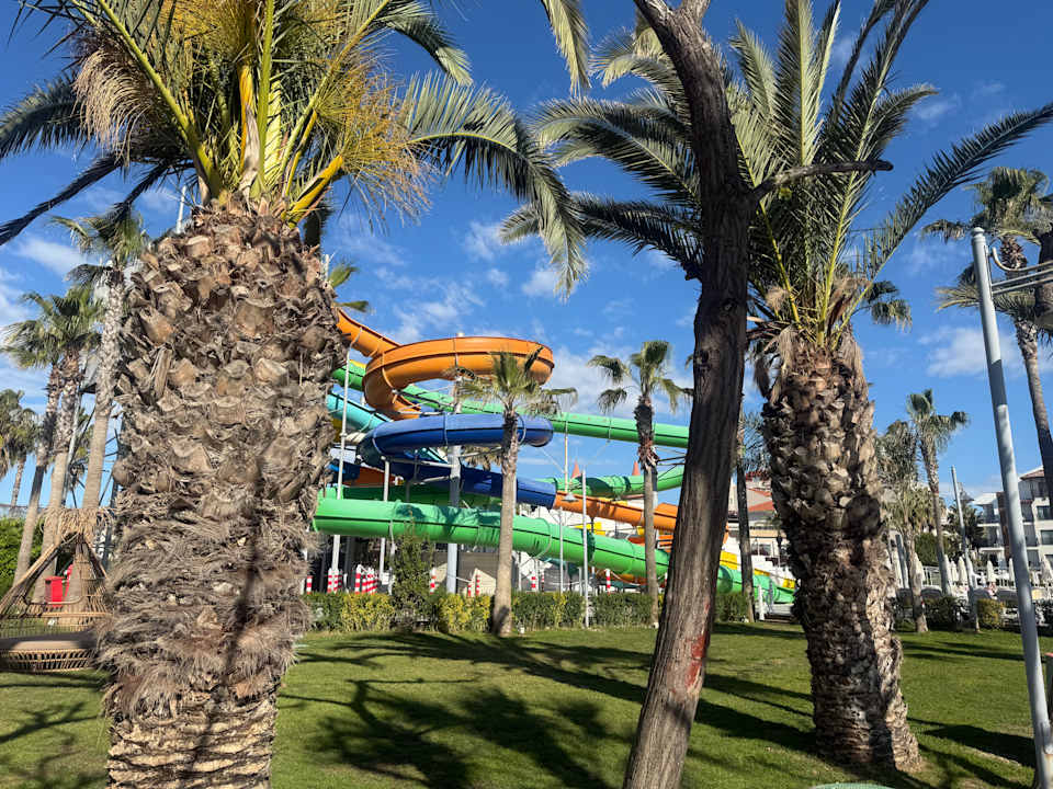 Pool Belek Beach Resort Hotel