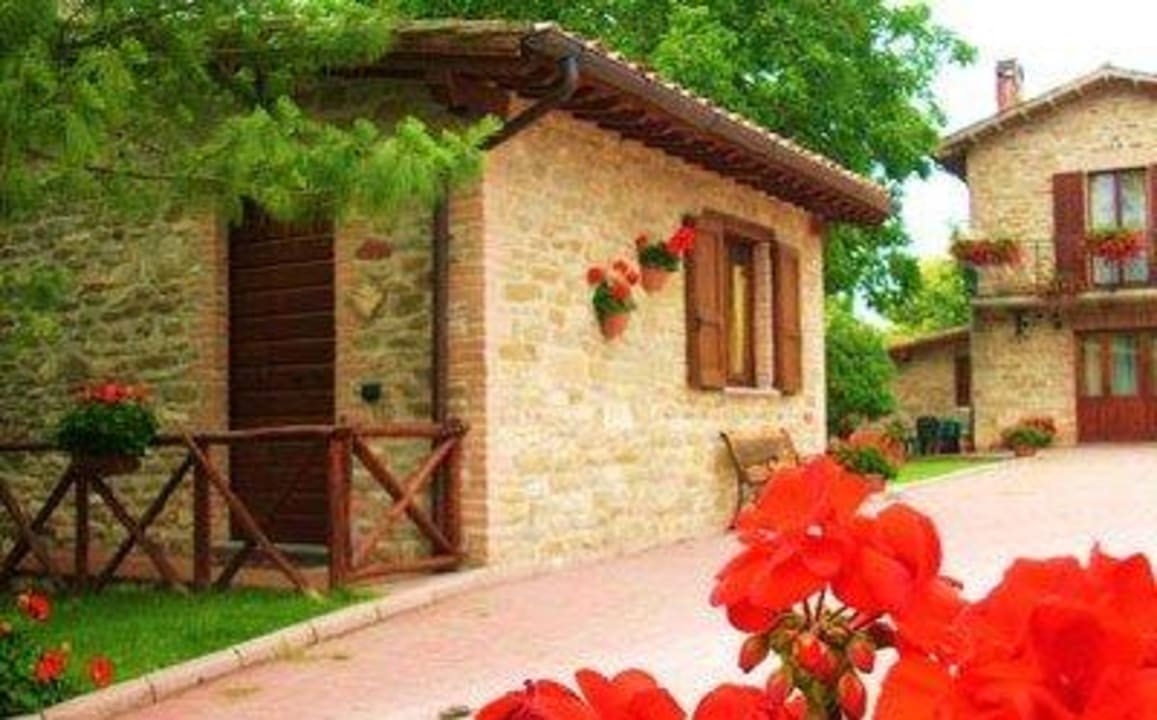 App. olivo Agriturismo Aurora