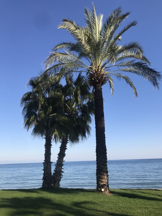 Gartenanlage TUI MAGIC LIFE Beldibi +16