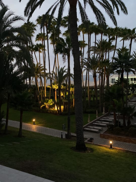 Gartenanlage Hotel Riu Palace Oasis