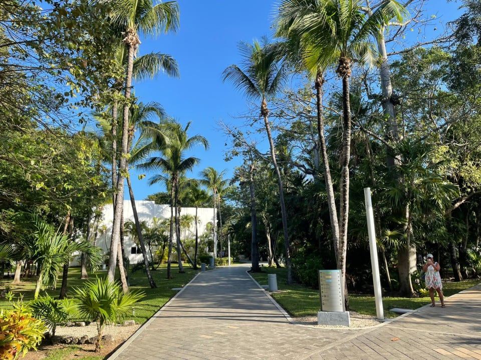 Gartenanlage Hotel Riu Tequila