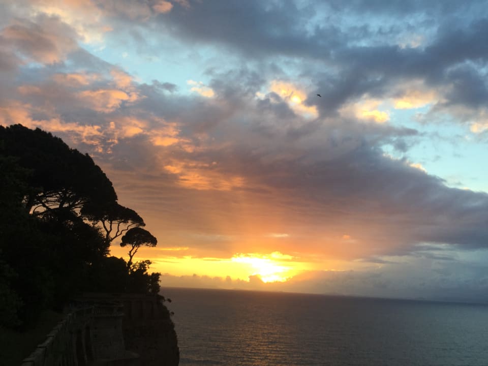 Gartenanlage Hotel Domus San Vincenzo