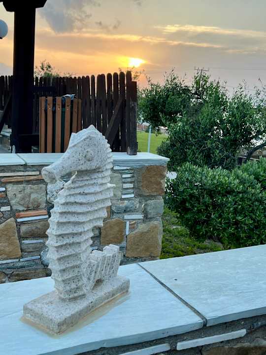 Gartenanlage Grand Blue Beach Hotel