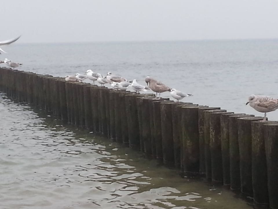 Strand San Medical SPA