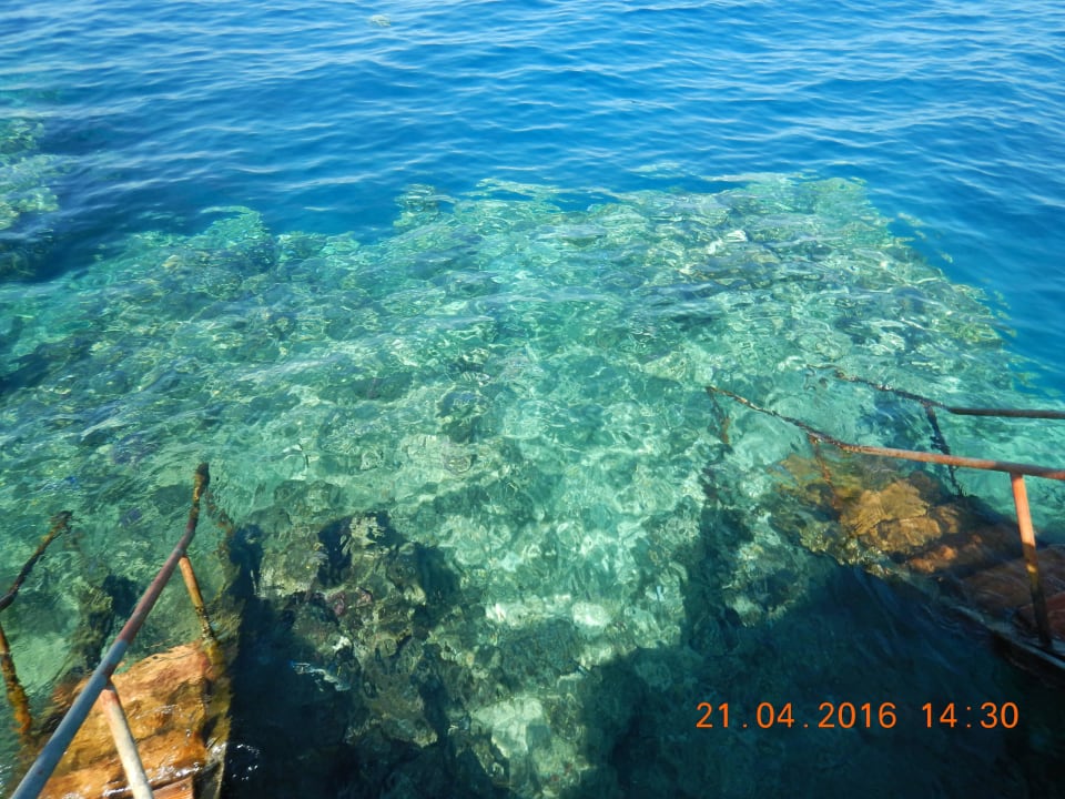 Einstiege Steg Three Corners Sea Beach Resort