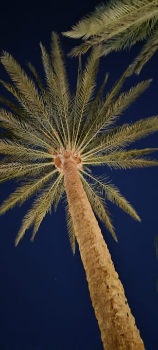 Strand Giftun Azur Resort