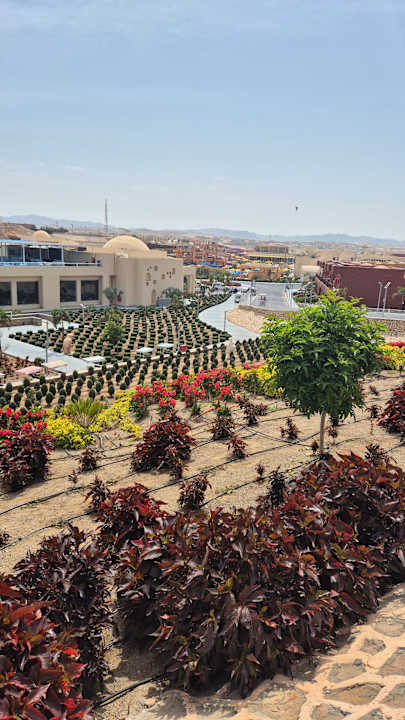 Gartenanlage Pickalbatros Vita Resort - Portofino Marsa Alam