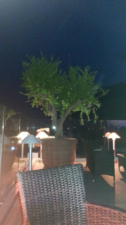 Dachterrasse Hotel Kristal Palace - TonelliHotels