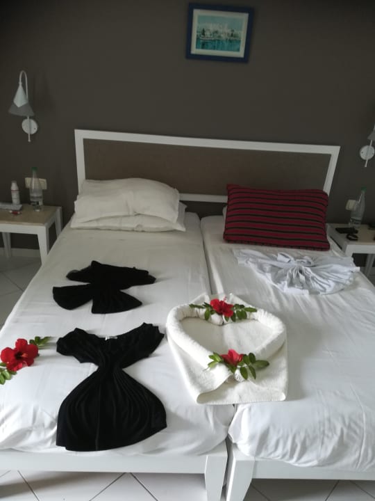 Zimmer Club Salammbô Hammamet