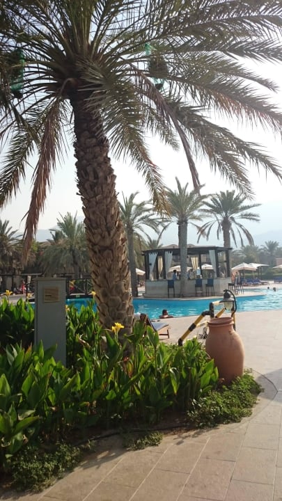 Hotel Iberotel Miramar Al Aqah Beach Resort Miramar Al Aqah Beach Resort