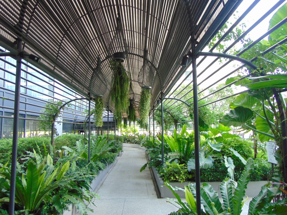 Gartenanlage Bangkok Marriott Marquis Queen's Park