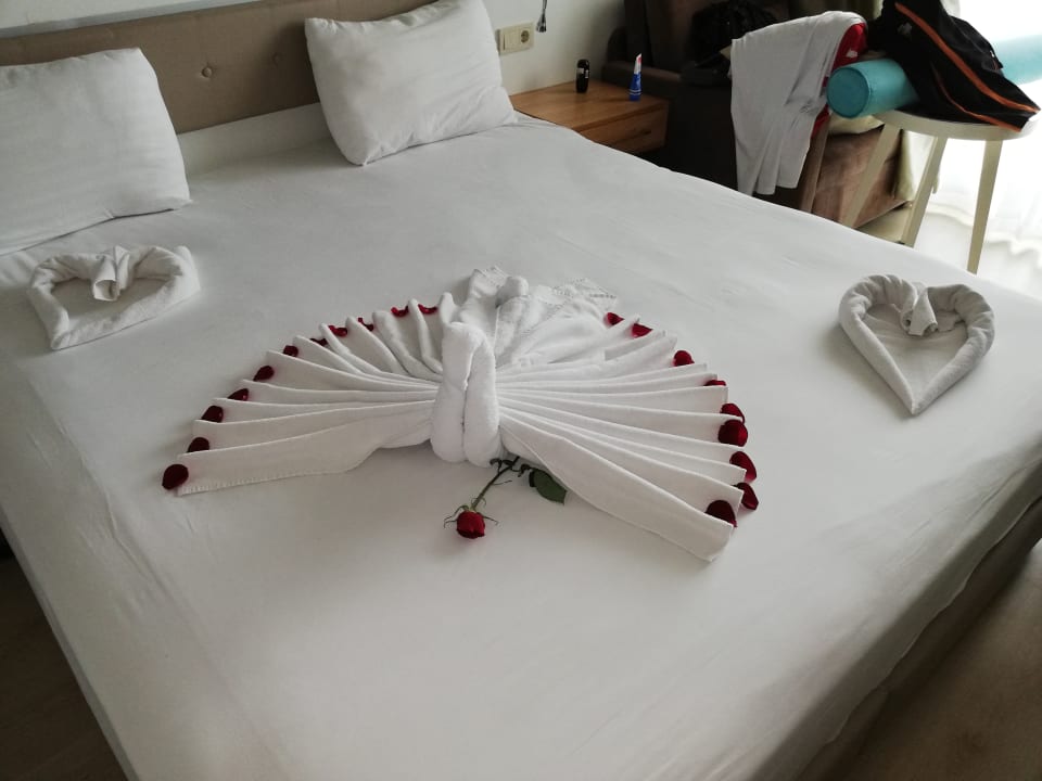 Zimmer Castival Hotel