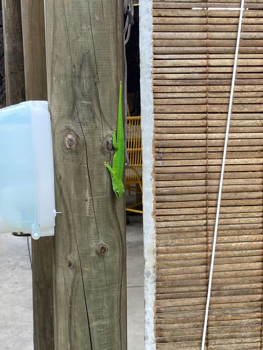 Sonstiges Friday Attitude