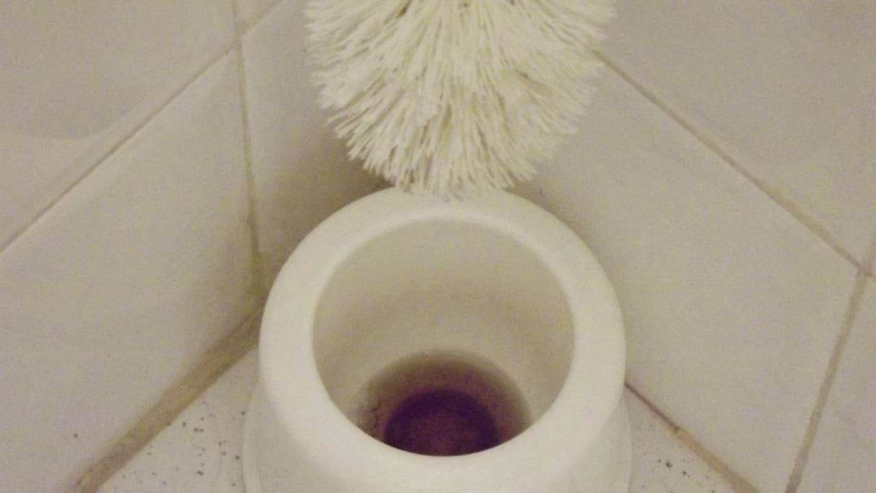 Unsere Klo-Bürste Monarque Club Rivage