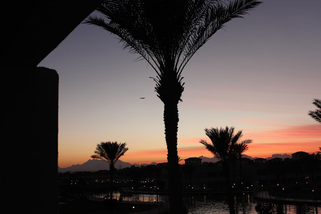 Ausblick Pickalbatros Dana Beach Resort - Hurghada