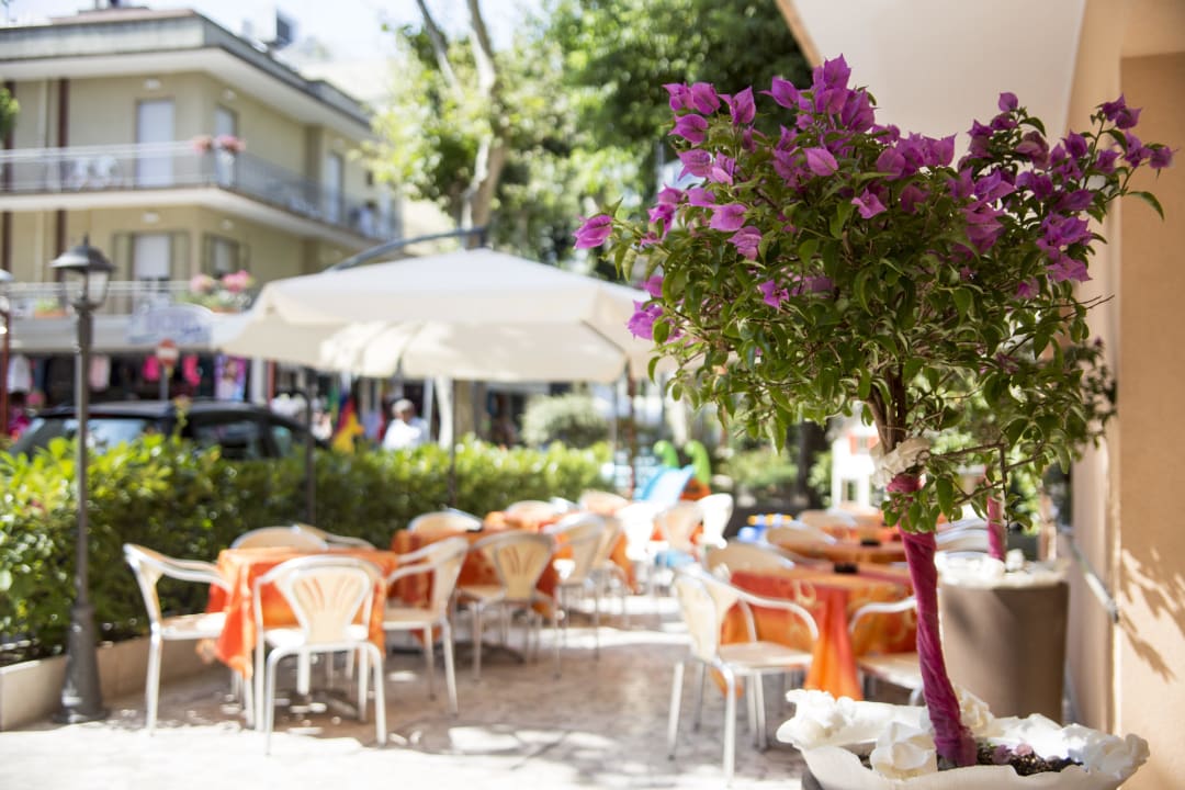 Il nostro giardino Hotel Silvia