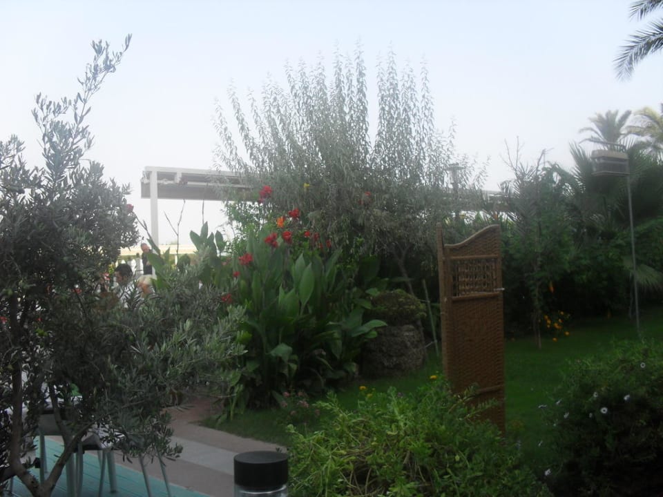 Grünzeug Belek Beach Resort Hotel