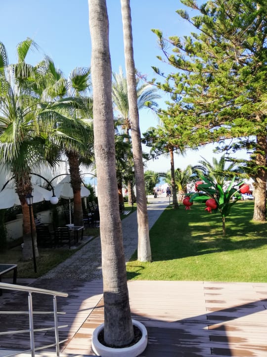 Gartenanlage Nerton Hotel - Erwachsenenhotel ab 16 Jahren