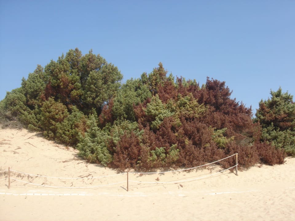 Kolem pláže Hotel New Barcavela