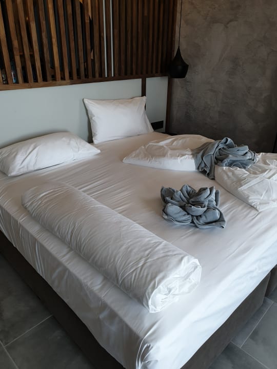 Zimmer GRIFID Vistamar