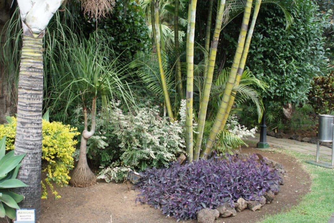 Garten BLUESEA Costa Jardin Spa