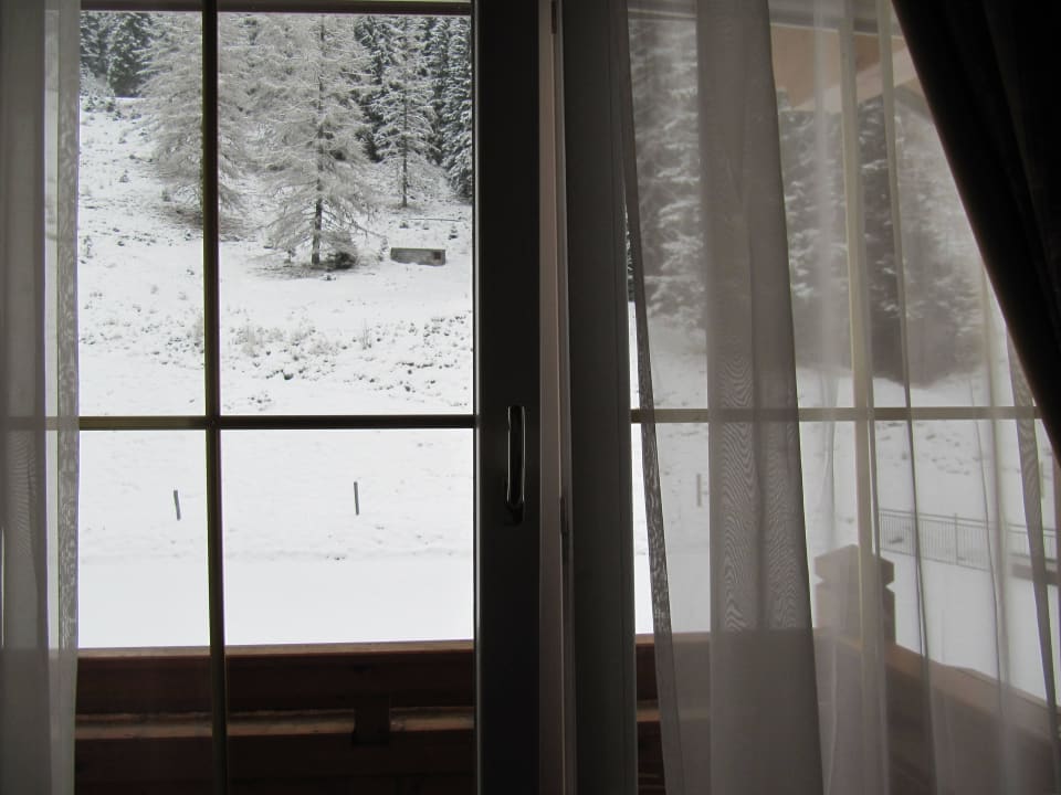 View from the window Hotel Alpenhof