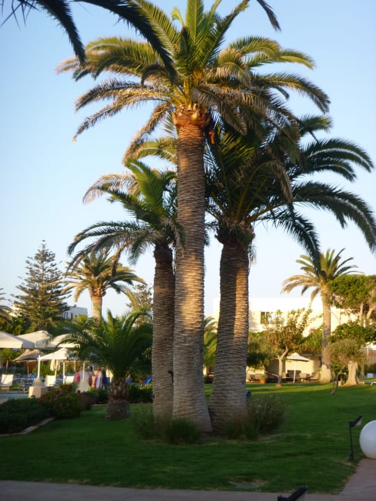 Gartenanlage Anissa Beach & Village