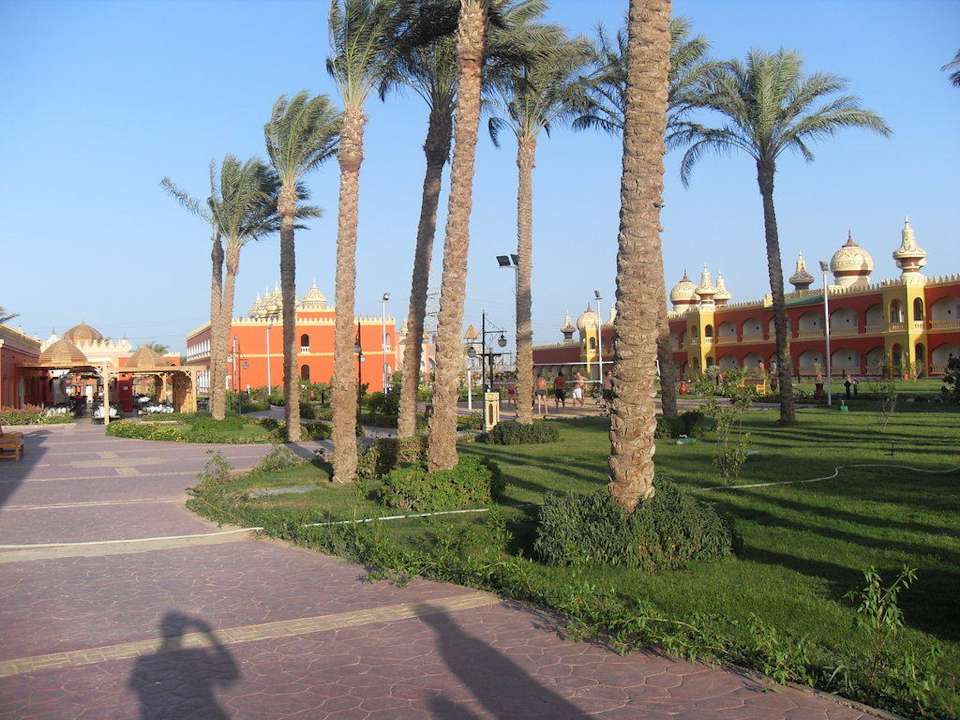 Palmen im Wind Pickalbatros Alf Leila Wa Leila Resort - Neverland Hurghada