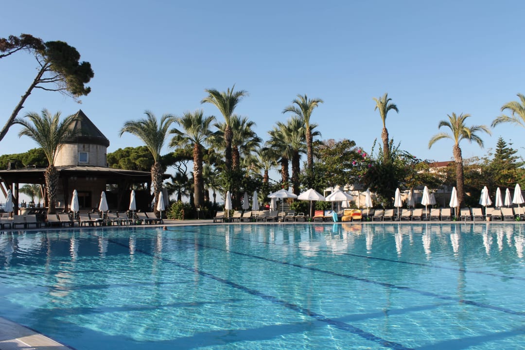 Hauptpool Papillon Ayscha