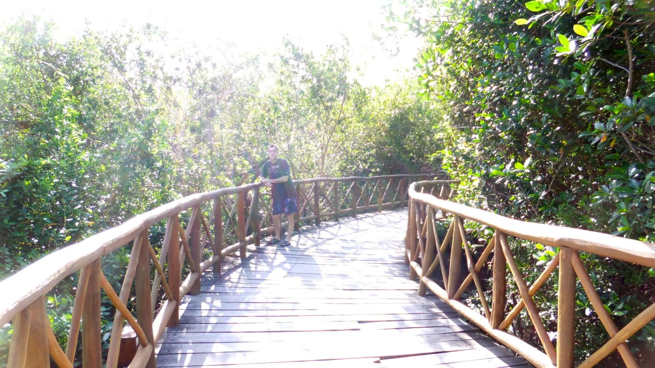 Steg zum Pool Catalonia Royal Tulum Beach & Spa Resort - Adults only