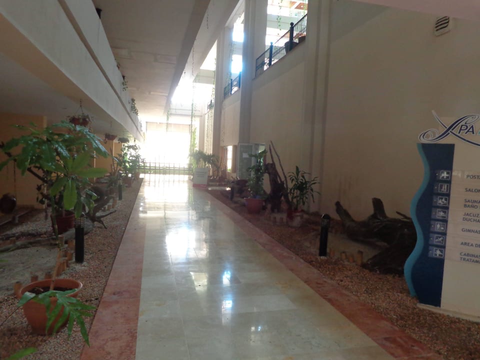 Spabereich Blau varadero - Adults only