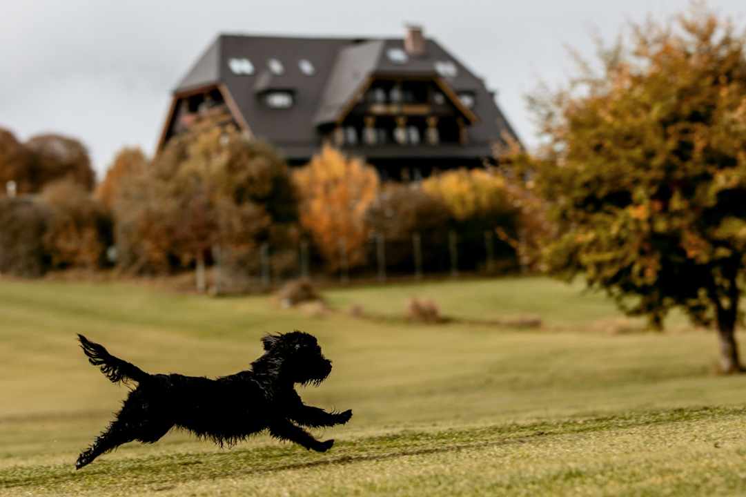 Außenansicht Die Wasnerin