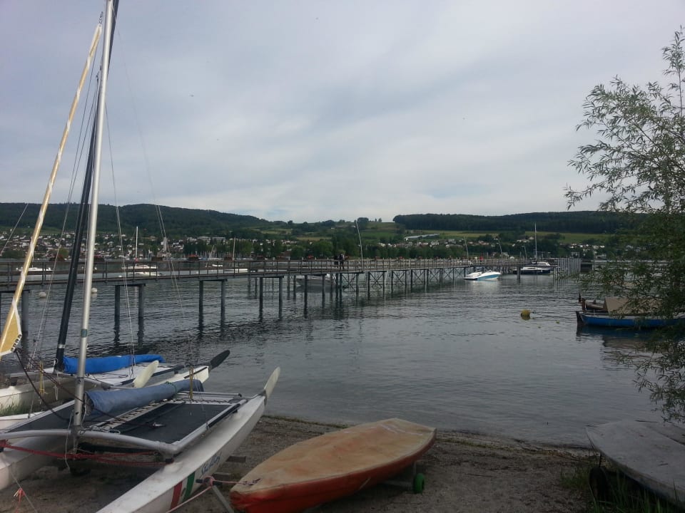 Blick auf den See Hotel Höri am Bodensee