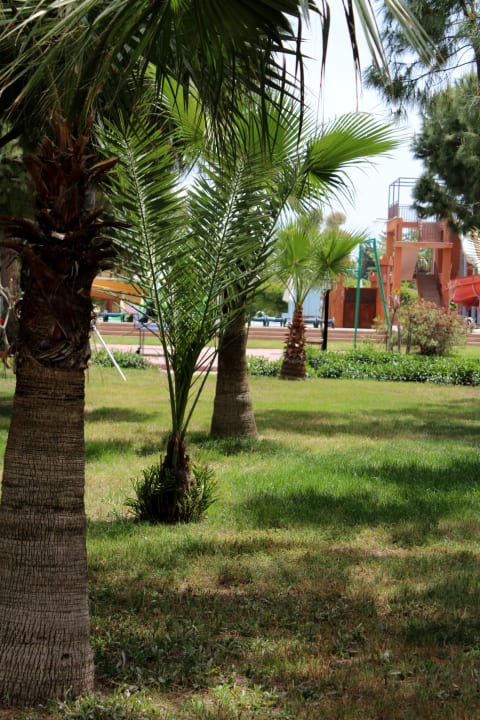 Ausblick zu den Rutschen Club Turtas Beach Hotel