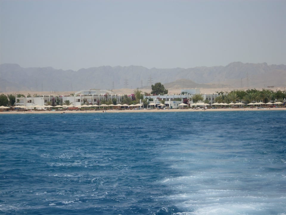 Das Hotel vom Meer aus Menaville Safaga