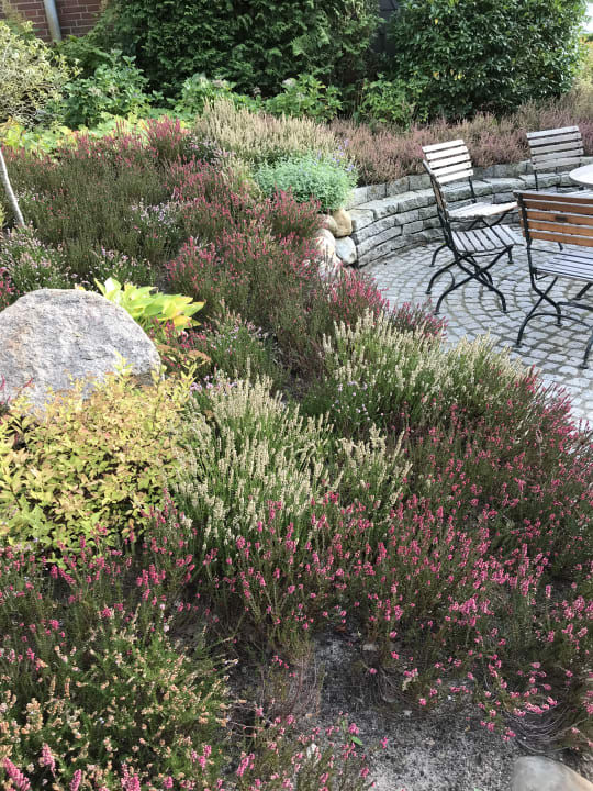 Garten Ringhotel Sellhorn